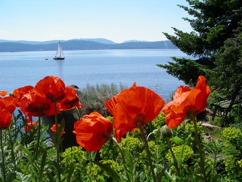 Serenity By The Sea Retreats Montague Harbour Экстерьер фото